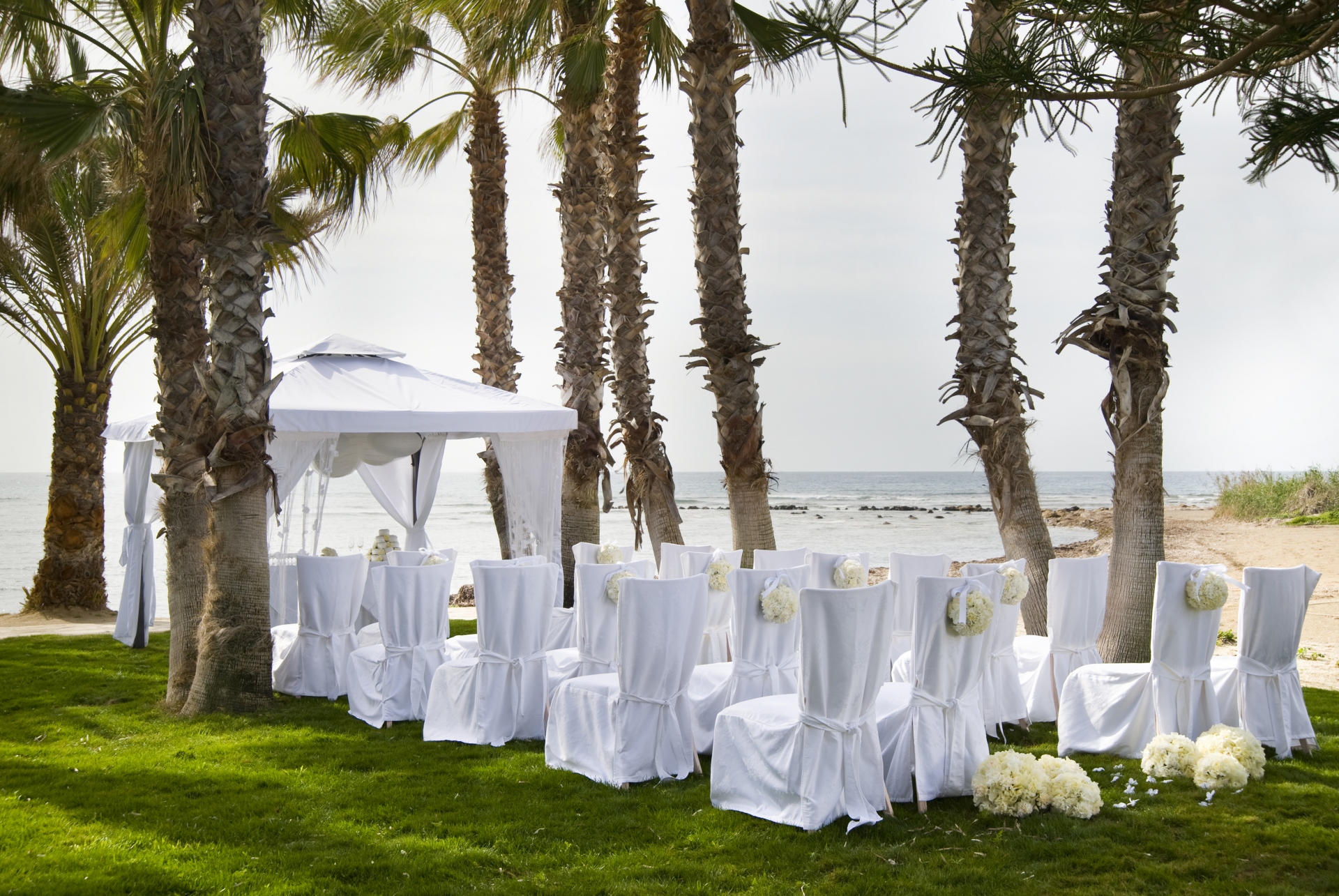 Book your wedding day in Louis Phaethon Beach Hotel Paphos